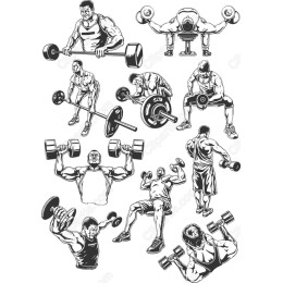 Fitness Set - Weightlifting