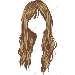 Long Wavy Hair