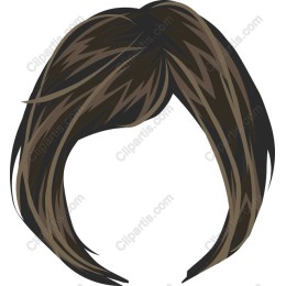 Elegant Bob Haircut