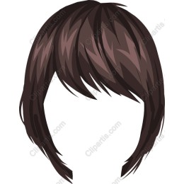 Chic Dark Brown Hair