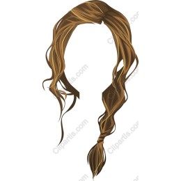 Elegant Brown Hair
