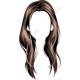 Elegant Brown Hair