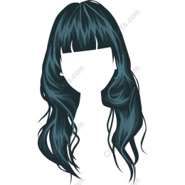 Elegant Long Hair