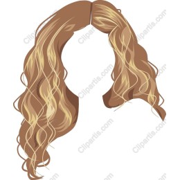 Luxurious Long Wavy Hair