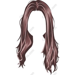 Elegant Long Hair