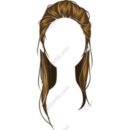 Elegant Brown Hairstyle