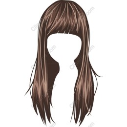 Elegant Long Hair