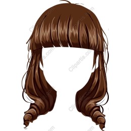 Elegant Brown Hair