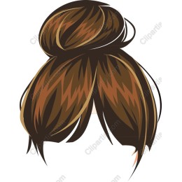 Elegant Hair Bun