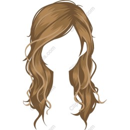 Elegant Long Hair