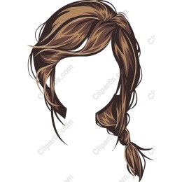 Braided Brown Hair