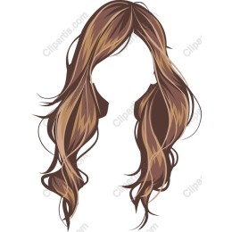Luscious Long Brown Hair