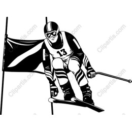 Dynamic Ski Racer