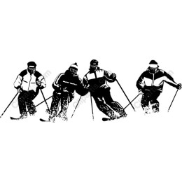 Dynamic Skiing