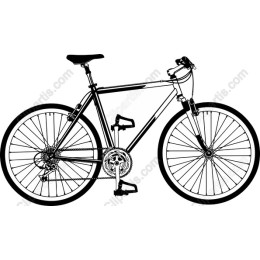 Sleek Mountain Bikes