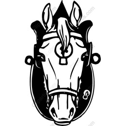 Majestic Horse Head