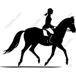 Equestrian : Horse and Rider in Motion