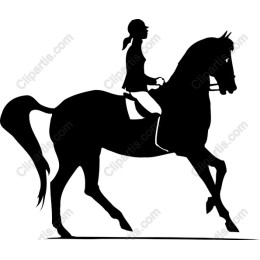 Elegant Equestrian Rider and Horse