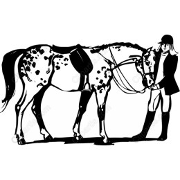 Equestrian Elegance: Horse and Rider