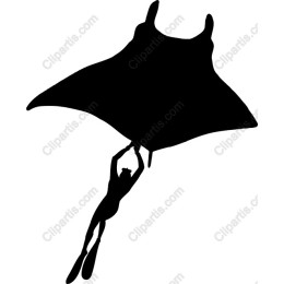 Majestic Manta Ray and Diver