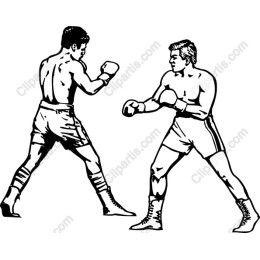 Dynamic Boxer