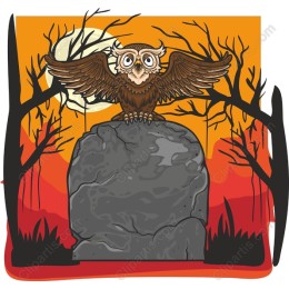 Mystical Owl Sunset
