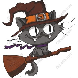 Witchy Cat on Broom