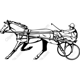 Harness Racing Horse