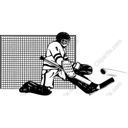 Dynamic Hockey Goalie