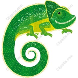 Vibrant Chameleon