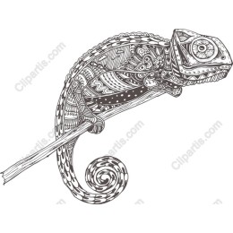 Exquisite Chameleon