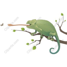 Chameleon on Branch