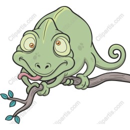 Playful Chameleon