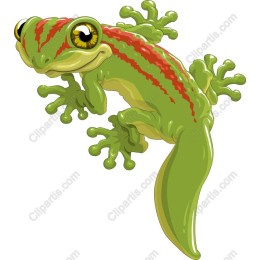 Vibrant Cartoon Frog