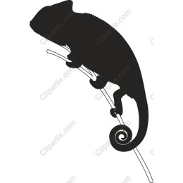 Chameleon
