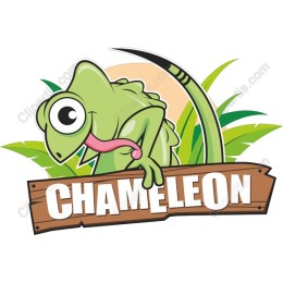 Charming Chameleon