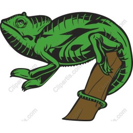 Green Lizard