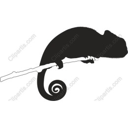 Chameleon
