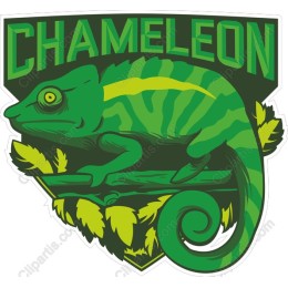 Vibrant Chameleon