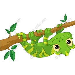 Charming Green Gecko