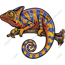 Colorful Chameleon
