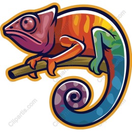 Colorful Chameleon