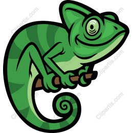 Charming Green Chameleon