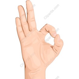 OK Hand Gesture