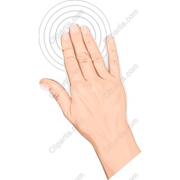 Hand Gesture Interaction