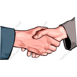 Professional Handshake