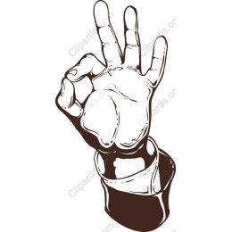 Okay Hand Gesture