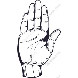 Open Palm Hand