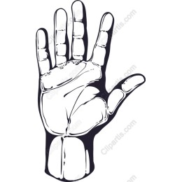 Human Hand