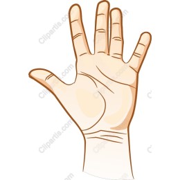 Open Palm